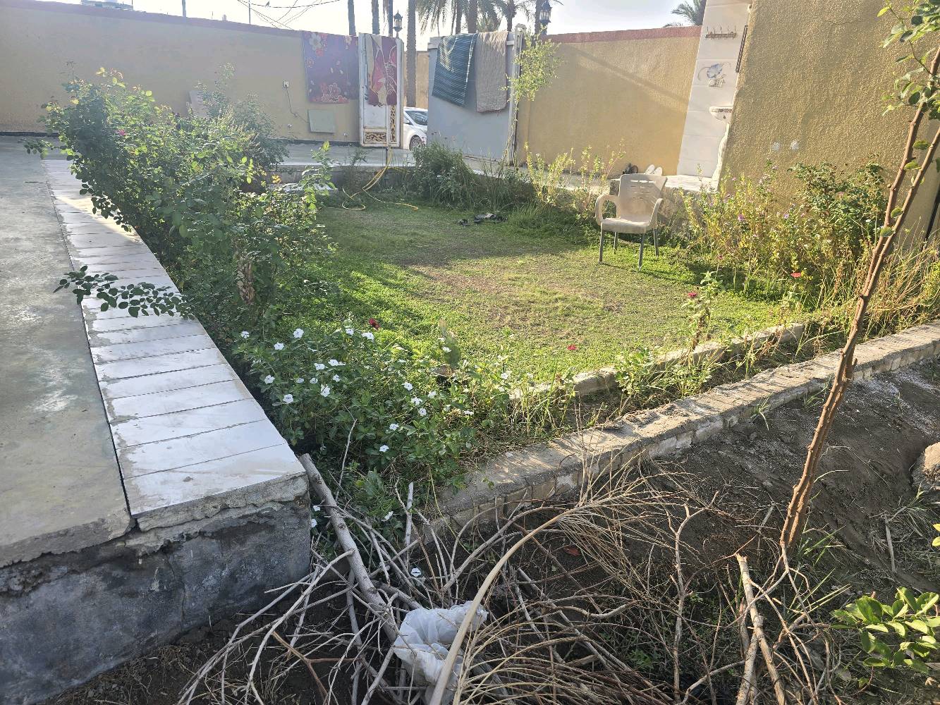 بيت للبيع

📍 الموقع: حلة / قرب سيطرة الآثار

▪️ المساحة: 300 متر

يتكون من:
• استقبال
• مطبخ
• هول
• غرفتين

السعر: 75 مليون فقط

للاستفسار:
***********
أبو ليث
شنو موقع البيت بالضبط؟ (المنطقة/الحي/قرب شنو) حتى يسهل على الزباين يوصلون.: 
الحلة - سيطرة الاثار 
شكد مساحة الأرض والبناء، وكم عدد الغرف والحمامات والصالات؟: 
المساحة 300
يتكون من مطبخ- استقبال- هول- غرفتين
البيت طابو/مستمسكات رسمية لو لا؟: 
زراعي سند25 
البيت جاهز للسكن لو يحتاج شغل أو أي تصليحات؟: 
جاهز للسكن
شنو سعر البيع النهائي وهل بيه قابلية للتفاوض؟: 
75 وبي مجال 