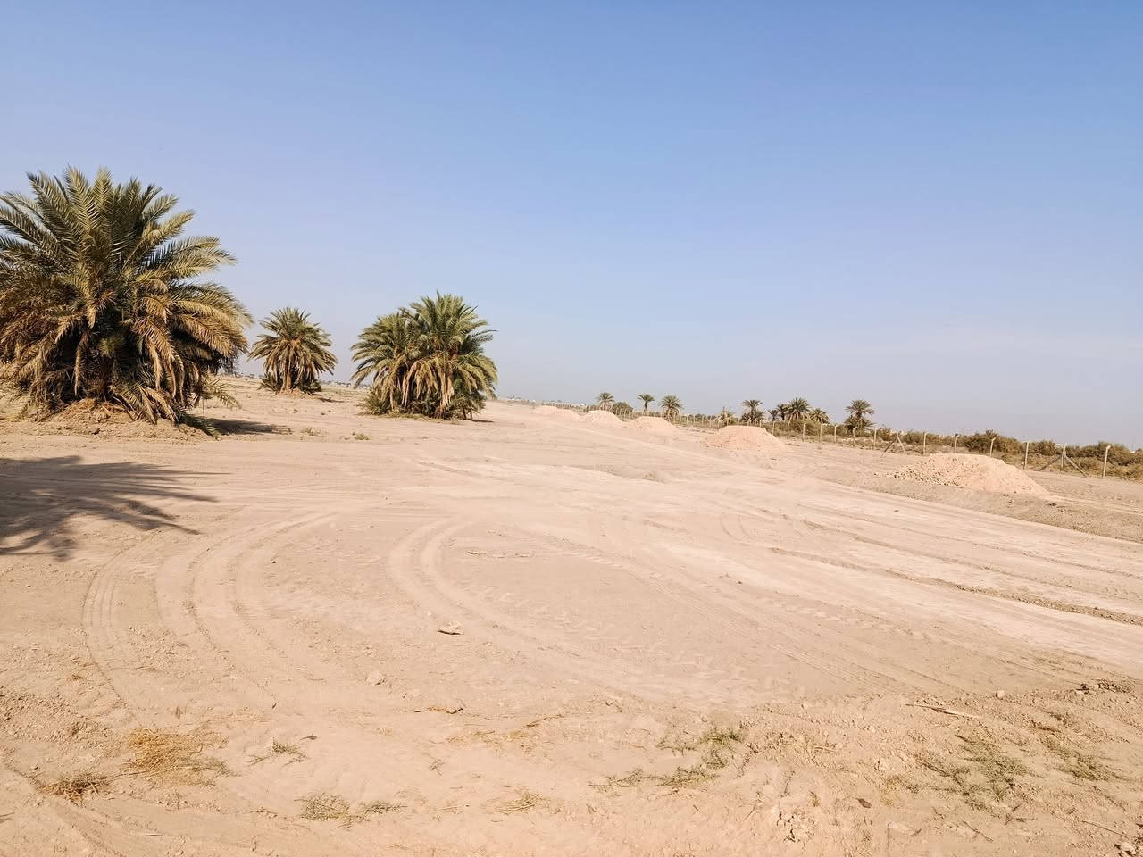 نبده على بركات الله 
يوفر دوانم مزارع سند طابو 25 تحويل بسمك ثاني يوم
متوفر كافه الخدمات 
ماء اساله 
تبليط +جسر صب كونكريت
كهرباء
ماء سقي لمزروعات 
(لمكان دوانيه طريق دوانيه نجف الشافعيه) من البدايه نزلت لجواسم 
من النهايه خلف حي الموضفين  قرب سايلون الشافعيه
تبعد 5دقايق عن شارع دوانيه نجف 
ايضن يتوفر بعض لدوانم فيها نخيل جيد 
انته ماعليك بس تجي تحجز مزرعتك متوفر كادر ختصاص زراعة 
+964 771 332 3135
0782 779 5803
