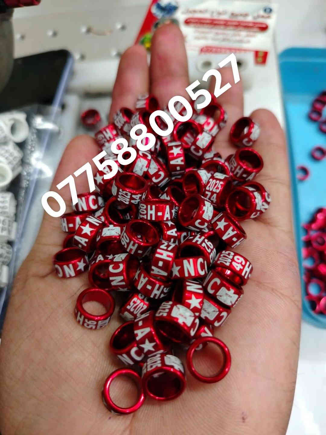 حجل طيرك وبسعار تنافسيه وشغل مضمون 👇❤️ حجول  وتوصيل لكل العراق والخبره بلعمل
من رخصت لمشرفين تريد حجل اصلي  ❤️ يوجد لدينا كل ماهو جديد عمل جميع  انواع حجول رابطه ستندر بنواعها حمام اللوت والزاجل والرافل والحمر وتور تيدي وطيور الزينه وباقي الطيور  بكافة انواعها  المغرد جاوه وبلابل  وفجانس وكناري وبادجي هاجرمو  وكوكتيل والدره وغندور وروز والحمام الملكي  ودجاج ومختلف النوعيات الالوان والموديلات حسب طلب الزبون الحجول والقياسيات موجوده بنواعها وتلبيس لطيور الكبار موجود حسب الطلب
الموثق والمفتوح وقراصات و المنيوم مفتوح الشغل درجة أولى حفر ليزر وحجول  والطيور بانواعها ملاحظه يوجد لدينا حجول زينه تراجي وحجل جرس خرخاشه واشرات وباقي الحجول بنواعها لكافه لطيور توجد خدمه توصيل لباب لبيت لجميع المحافظات العراق 🚕🚕 بسعر مناسب جدا للحجز مراسلة الصفحه او واتساب📱📞او الاتصال علئ الرقم او وتساب ملاحظه خبره بلعمل أكثر من 10 سنوات احذر التقليد 😍 لاتنسه لايك ومتابعه للحساب هدفنا تطوير الهوايه ولطيور لتعارف 😘 

***********
***********
