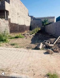 ابو غريب - ابو منيصير • 132م • تجاري