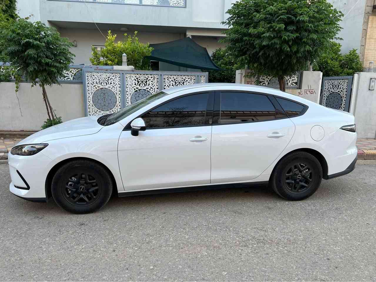 Byd sell05 2025
٦٠٠٠ ڕۆشتووه‌ 
سفره‌ سه‌یاره‌كه‌ جوانكاری بۆ كراوه‌ ڕۆنی گۆراوه‌
ره‌قه‌م كراو 
سارد و چاڵ  بۆیاخی نیه‌
*********** السليمانية, العراق
