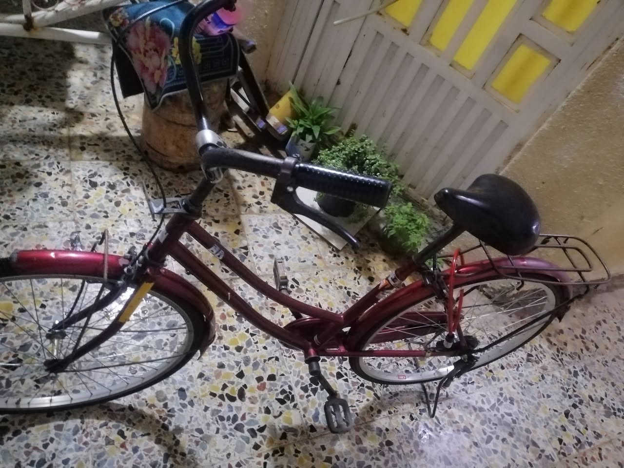 سلام عليكم بايسكل بناتي حجم 26 ياباني اصلي ويل خلفي مبدل اصلي فافون فقط بايسكل مرتب مابي اي نقص مكاني الثعالبة شارع البانزين خانة الاستفسار والسعر خاص ***********
