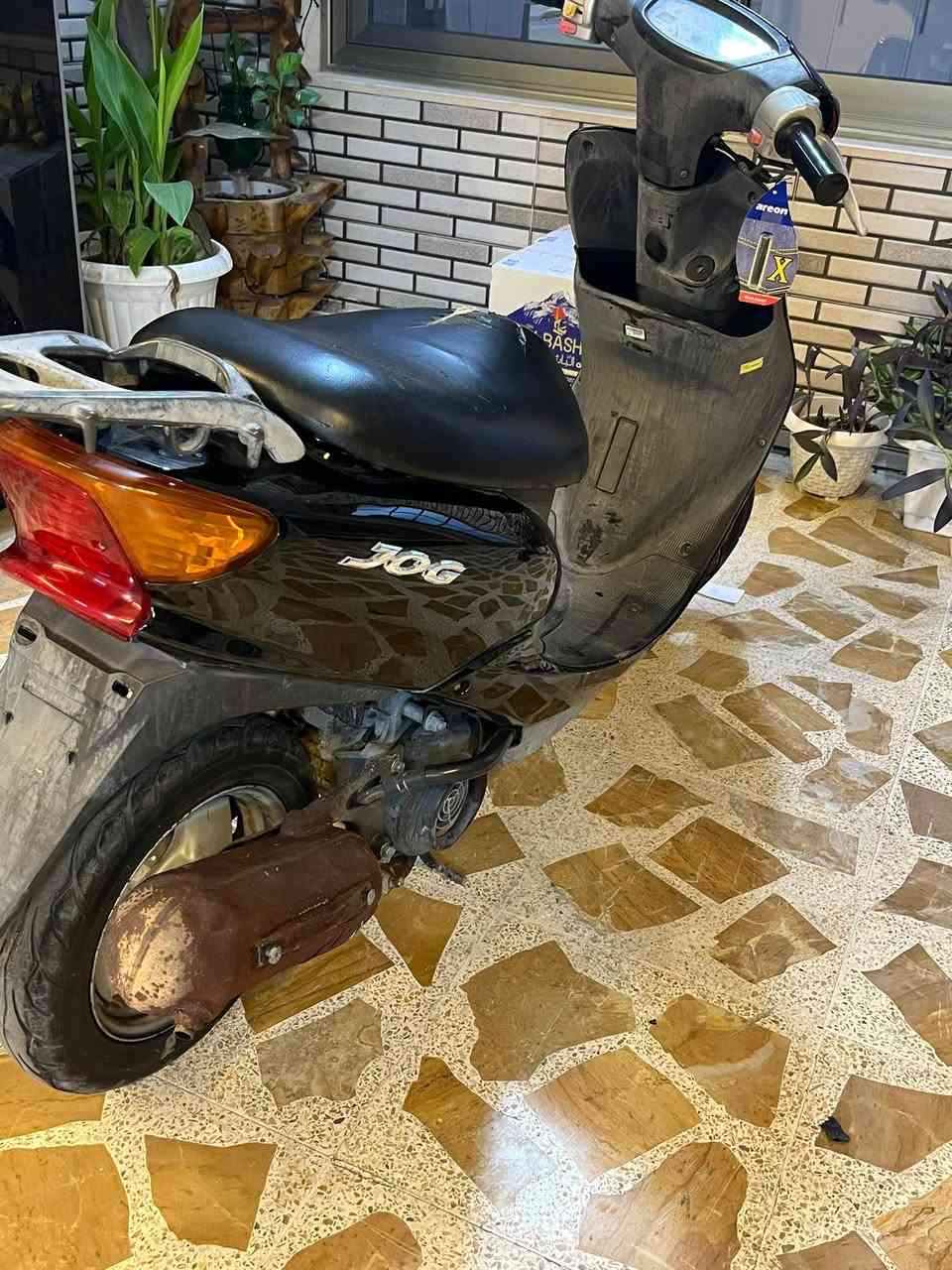 السلام عليكم
فرخ اكزز عصفوري
شرط نكرة سلف 
مابي اي شي شرط
مكاني ايسر 
سعرو 500 وبي مجال


**إذا كنت صاحب هذا الإعلان وتريد حذفه لأي سبب، رجاءا أرسل رسالة إلى الدعم الفني**