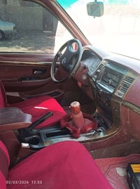 بيكب صيني • ٢٠١٠ • قضاء القاسم