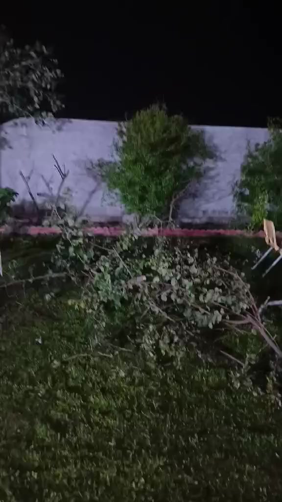 السلام عليكم شباب عندي اقلام سدر انواع للتطعيم ثواب اي شخص ايريد بلخدمه


**إذا كنت صاحب هذا الإعلان وتريد حذفه لأي سبب، رجاءا أرسل رسالة إلى الدعم الفني**