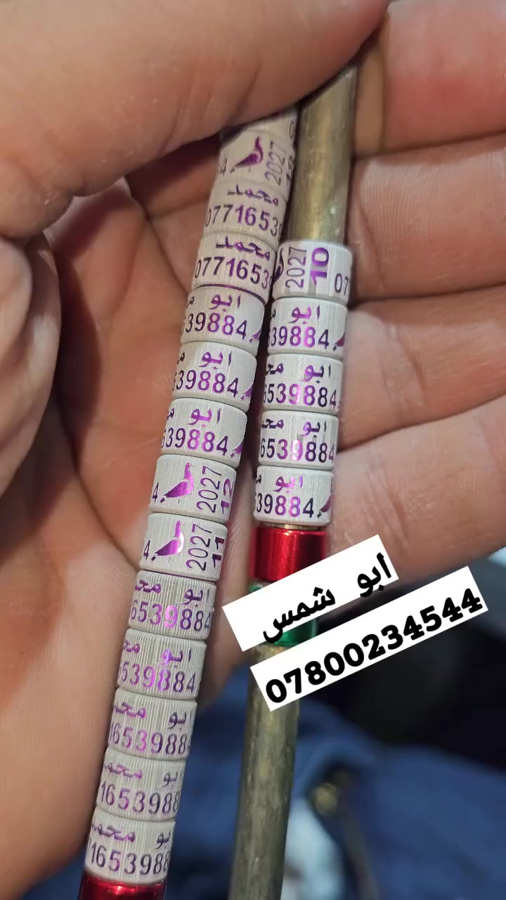 تفاصيل بلتعليق
