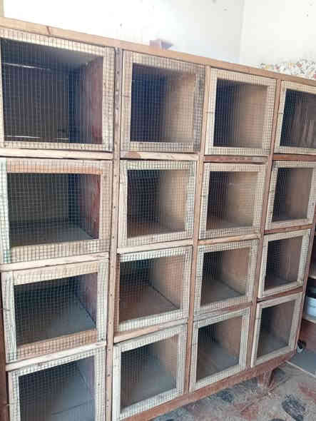 خانات مرتبات وحده بيه ١٦ وحده بيه ٩كبار وحده ام ٢ كوت حي جهاد ***********
