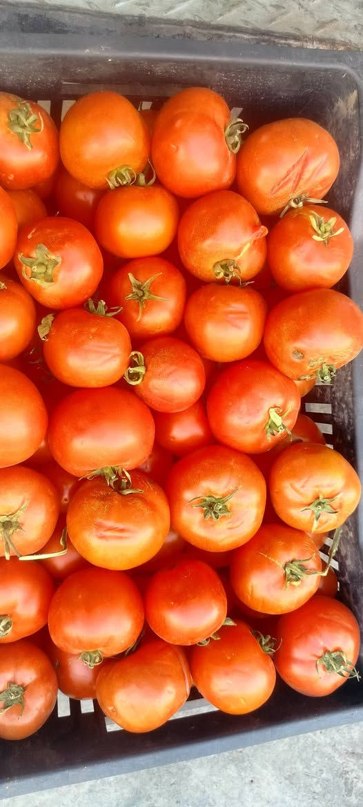 أرخص الأسعار في داقوق حصرا 👍 يوجد توصيل مجاني داخل داقوق حصرا بمناسبة شهر رمضان المبارك


**إذا كنت صاحب هذا الإعلان وتريد حذفه لأي سبب، رجاءا أرسل رسالة إلى الدعم الفني**