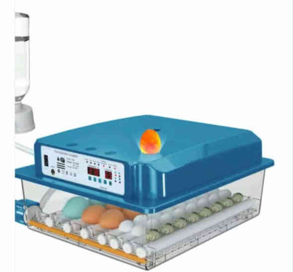 ابدأ مشروعك بحضّانة البيض الذكية 
🐣 حيث تقدر تبدأ الأن وتحوّل حلمك إلى حقيقة ودخل ثابت ومربح💰💸
مشروع مضمون ، تشغيل سهل ، ونتائج مبهرة تصلح لجميع انواع بيوض الدواجن
🦆  🐥  🐓  🦃  🦚  🦢  🦜
نسبه تفقيسها  تتخطى 98 % 🤩🎀🎁
# لأول مرة فقاستنا تعمل الكترونياً من  حيث تقليب البيض وتنظيم درجة حرارة ورطوبة المفقس كونها مزوده بقناني ماء من دون اي تدخل انت ماعليك إلا إدخال البيض .
عند إنقطاع الكهرباء تتحول اوتوماتيكياً الى التشغيل بالبطارية بمجرد ربط قوابس البطارية .
👇 تخفيض وبارخص الاسعار👇🏻الاحجام المتوفرة واسعارها 💰 
1 - مفقس سعة 32🐥 بسعر 80 الف 
2 - مفقس سعة 36🐥 بسعر 90 الف
3 - مفقس سعة 48🐥 بسعر 100 الف
🚚 لدينا خدمة توصيل لجميع محافظات العراق بمبلغ 5 الاف دينار
🐥 🐥 🐥 
🌀 مميزات الحضّانات:🕊️
✔ شاشة رقمية للحرارة والرطوبة
✔ تقليب أوتوماتيكي كل ساعتين
✔ إنذار عند أي خلل
✔  منخفض جداً
🛠️دعم فني ومتابعة مستمرة 
للتواصل على رقم الهاتف *********** يوجد واتس اب ايضاً.
