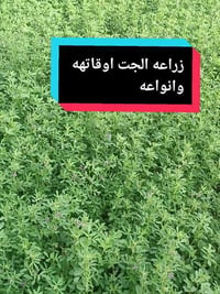بذور • للبيع • مراسلة خاصة