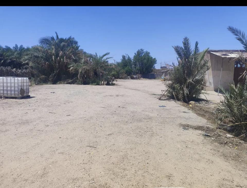 لبيع في ناحية النشوة
بيت طابو زراعي
ارض خمس دوانم
بستان مع مواطير
مع عبارة====***********
