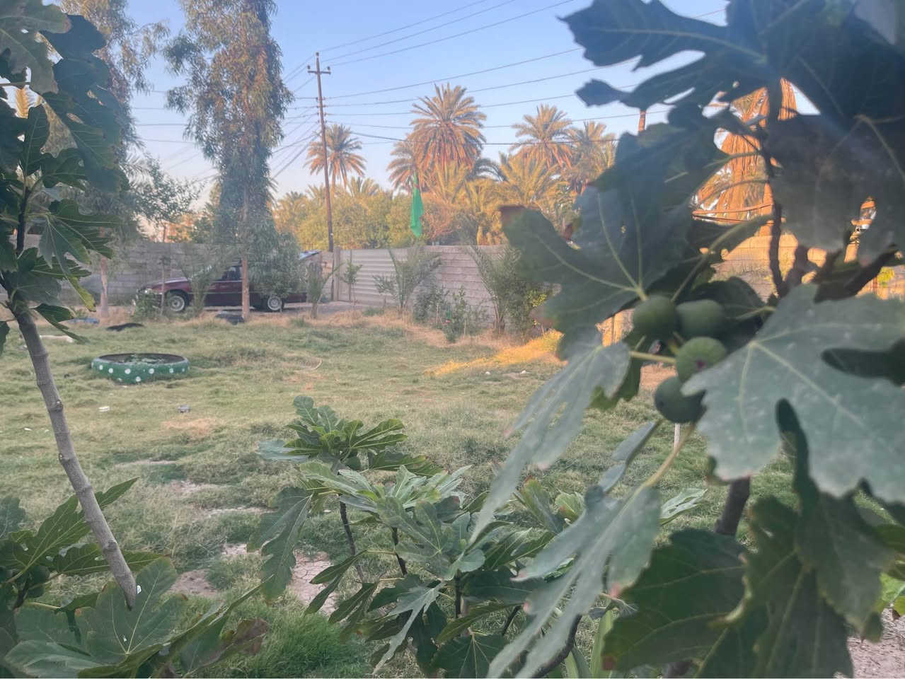 بغداد اليوسفيه القصر الأوسط
دونم وربع مع دار ٣٠٠ متر ٣ غرف نوم كاملات 
الطبخ وحولي والاستقبال لحد الان ممبيضات
مي اساله وصالكهرباء واصل تبليط باب بيتك مولد سحب اكبالك ذهبي 
 السعر 250 مليون قابل للتفاوض 
*********** بغداد, العراق
