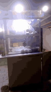 عربانت البلبي البيع هيه وغرضها توني مسويهه بل الغراف هذا رقمي ***********
