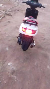 شباب  فحل للبيع مجفته وهس مستحقه تجفيت تمشيك حته 5 أشهر 07814981372