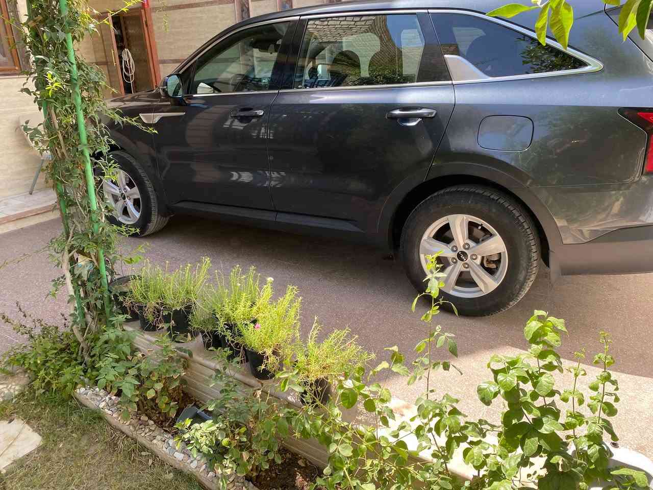 كيا سورنتو موديل 22 مواصفات LX  السيارة حتى الدعاميات بدون صبغ مكفولة بدون ايرباك شرط السونار جديدة رقم بابل صورة الحادث مرفقة مع السونار السياره موجوده بكربلاء+ بغداد  للاتصال *********** السعر 212 السعر قابل للتفاوض
