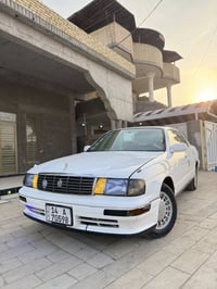 كروان بطه • ١٩٩٥ • رقم بصره