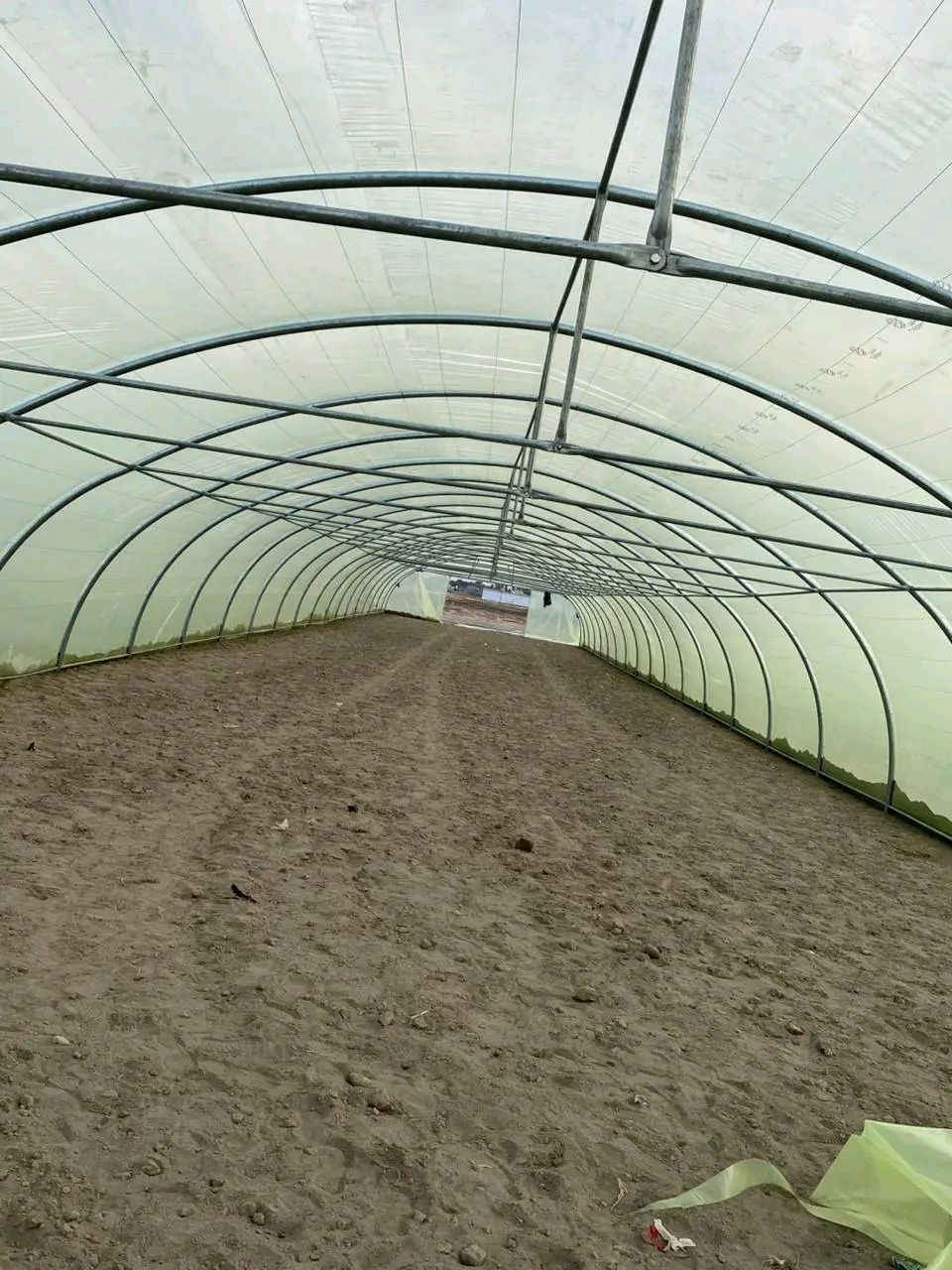 السلام عليكم // بيوت بلاستيكية العدد ٢

النوع لبناني ٥٠ في ٩

مكاني الديوانية للتواصل ***********
