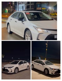 رحلات • دهوك • اربيل