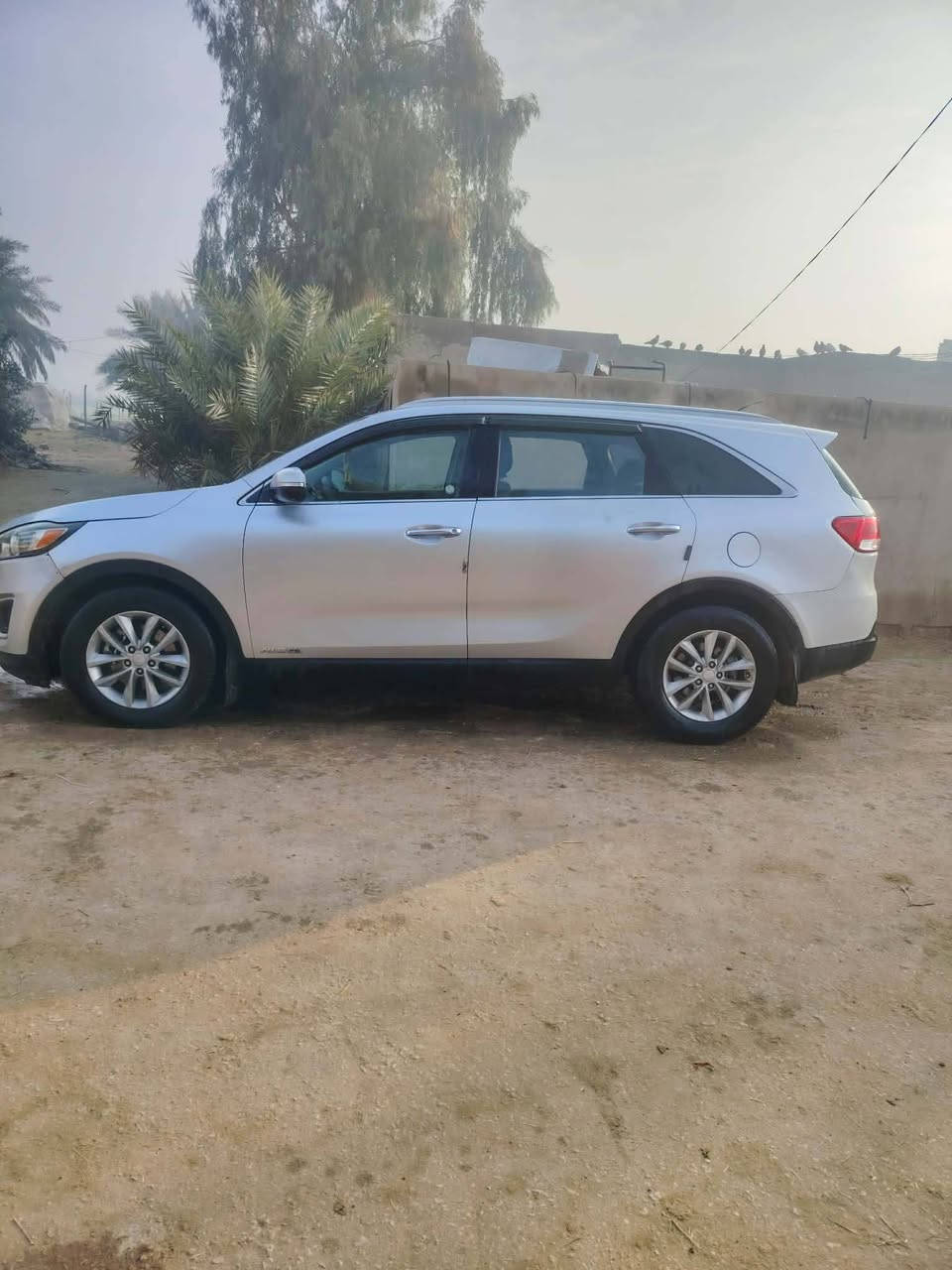 سورنتو 2017 امريكي 6سلندر 7راكب ضربتها جاملغ خلفي من امريكه وبيها رشات صبغ للبيع رقم بغداد بسمي مكفوله كير مكينه حداديه تبريد جاهزه على وضع الشركة السعر 172 مكلف بالنشر الاتصال على *********** كوفه جسر ام عباسيات
