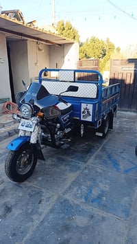 ستوته • موديل 2020 • اوراق اصلية