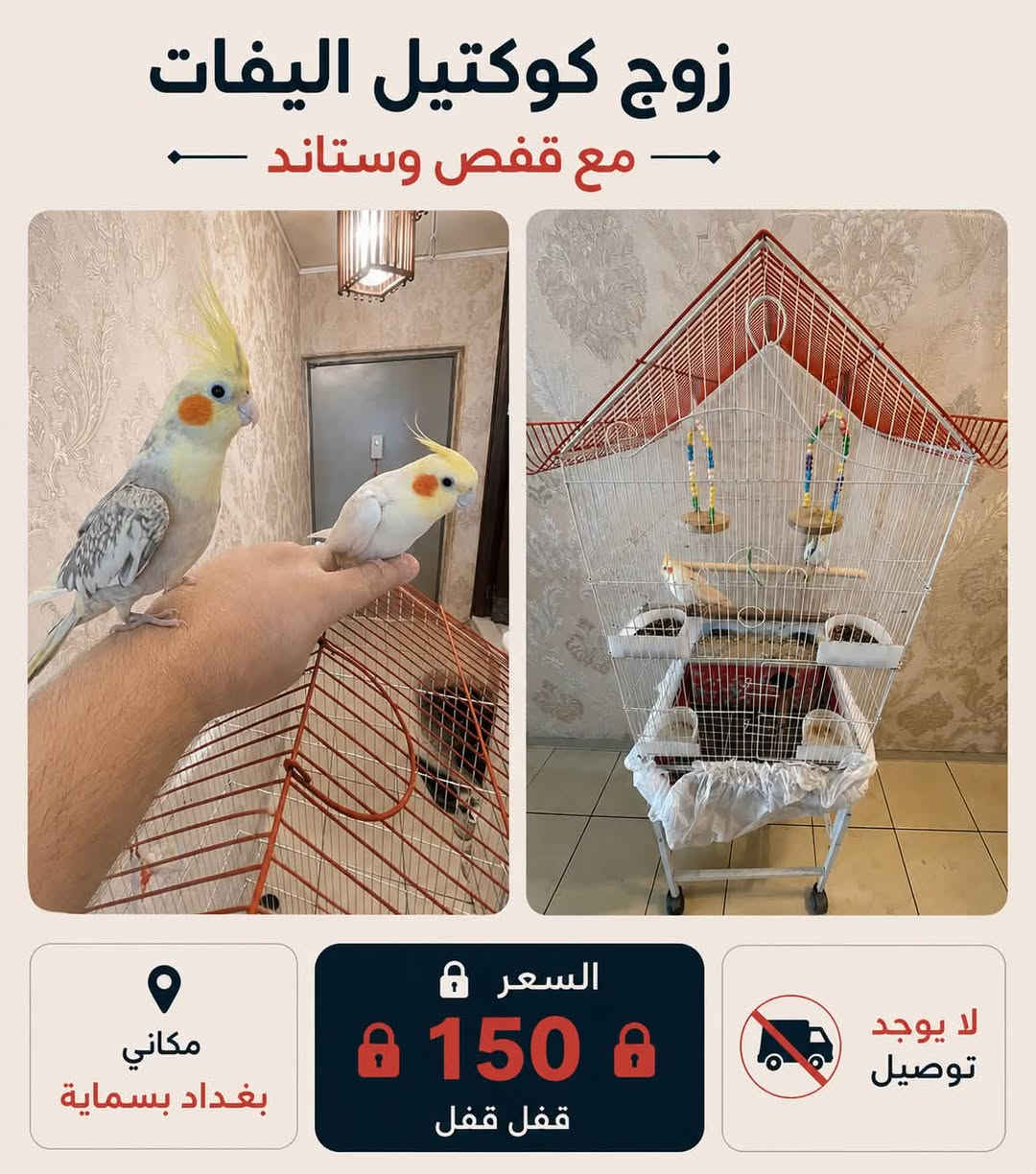 لبيع شلعة وحدة قفل 325 مكاني بغداد بسماية واذا مو مثل الصور تاخذهن بلاش غير متواجد عالفيس 
رابط الواتساب 

https://wa.link/uvcno5


**إذا كنت صاحب هذا الإعلان وتريد حذفه لأي سبب، رجاءا أرسل رسالة إلى الدعم الفني**