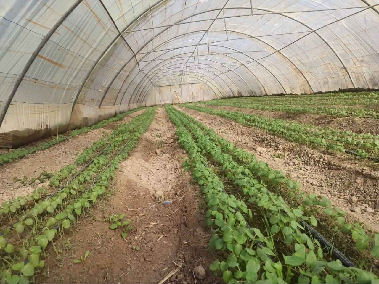 ***********السلام عليكم اخوان متوفر بيوت عراقي مقلوين الحديد 2 ملم للبيع السعر باع مليون و300 هونا والابواب والصوندات وكامل العنوان ديوانيه
