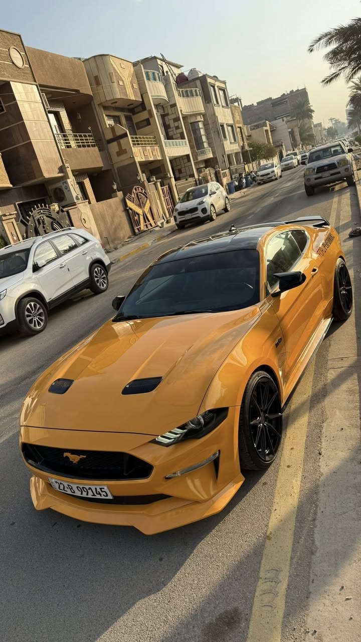 موستنك GT 2022 بريميوم فولل لل اخير
بجم كبس بدون ايرباك لون مميز برتقالي بلاك توب
قماره اسود بلادي اصل من وكال

 
مكينه (8سلندر) 5000cc
كير اوتو (10)نمر

السعر (270) شدتين و سبعين ورقه ورقه  وبيها مجال بسيط للشراي 
ماشيه(30)الف كيلو متر وليس ميل

مكان (بغداد-الحارثيه)
لون (برتقالي مميز) 
رقم تلفون *********** 

رقم اربيل الجديد فحص هزة جديد وسنويه باسمي تحويل ثاني يوم يعني ما تحير بصوت اكزوز لو وشومات لن هزة جديده
—————————————————————————
رقم شاصي(1FA6P8CF6N5118462)

سياره حادثها شبه كلين ركزلي على (ربع جاملغ صبغ) 
( ربع بنيد صبغ ما مفتوح براغي) تريد تعتبرها قطعه اعتبرها بس هيا ربع
وبل العراق بيها حادث بل جاملغ خلفي صبغ جاملغ نصه بدون تكم 
سياره راديتر وكالة مروحه وكالة ماي راديتر وكالة ما مبدل على وضع شركة حادثها سخيف كلش وصور حادث بل منشور   
وساحب تقرير  كار فاكس مالتها  بفلوس ايضاً ما بيها اي حادث مسبق ب امريكا او غرق الي يحب راسلني واتس اب ارسله تقرير 
   ————————————————————————

سياره كير مكينه اكسل كاردن صدرها بحالة الوكالة برغي ما مفتوح بيها بجم كبس البراكيته اماميه حتى ضربه مواصلتها 
سياره من دخلت حد الان مسويلها ادامة وصيانه كامله بشركة  فورد القاصد دهن  وفلتر دهن و فلاتر شوته و تبريد كلة وكالة اصلي
 دشبولها ماكو اي كلوب معتلك كله صافي 
—————————————————————————
نجي على مواصفات فول 1/1 ماعدا دجتال
١- تشغيل عن بعد
٢- شاشة كبيرة sync 3 كار بلي
٣-اكتف اكزوز حسب المود تفتح بوابات(نورمال-سبورت-تراك)
٤-فجوج بريمبو 6بستم
٦-دمام صوت بل صندوك وكالة
٧-تحديد مسار
٨-رادار امامي 
٩-رادار جانبي(نقطة عمياء)
١٠-رادار خلفي 
١١-حساسات خلفيه
١٢-كامرة خلفيه
١٥-ستيرن تدفئه هيتر
١٦-خمس وضعيات قياده(نورمال-سبورت-تراك)
١٧-ترحيب بل مرايه
١٨-هيترات بل مرايه
٢٠-سستم سماعات 
٢١-لايت زنون ابيض من وكالة
٢٢-شعار الموستنك ضوئي من الابواب بلادي 
٢٣-شعار موستنك ضوئي متغير بل دوسات بلادي
٢٥-كشنات جلد 
—————————————————————————

اضافات عليها 
٣- ولف حماوه مشميتو ١٢٠ دولار
٤-اكس بايب+ اج بايب 
٧-لحية ار تي ار ١٠٠ دولار
٨-دوسات جانبيه ام زعنفه ١٠٠دولار
٩-سكوب جامه خلفيه ٨٠دولار
١١-شفتات ستيرن ٣٥الف
١٣-وشم وتضليل ب١٠٠دولار
١٤-صبغ فجوج ولحاية ويل ١٢٠دولار صبغ حراري اصلي
١٥- تفريغ اكزوز ودوان بايب واكس بايب و لحيم اصلي يم علي وادي اركون من طول لل طول استيل حتى مقاومة للصداء وبوري اعرض ٥٠٠دولار صوته مخيف
١٦-برمجة طلال فور برذر برمجة سيفتي قطرة دوانز ماكو تستقبل بانزين محسن ٣٠٠دولار 
١٧-شفقه خلفيه على جامه خلفيه ١٠٠دولار
١٨-لويات تهبيط نصبه سياره ٢٠٠ دولار
١٩-كفرات مري باتمان
٢٠- اضافة لحية ار تي ار ٩٠ الف
٢١-لد سموك بل دعاميه خلفية جانبي ب٥٠ دولار
٢٢- لد سموك بل دفيوزر خلفي ب٩٠دولار 
٢٣- بولش ونانو سيراميك يم NVN ب٢٥٠ دولار

سياره ربع دينار ما بيها مصرف كامله من اي نقص
