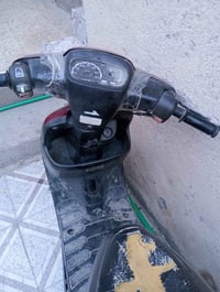 مطلوب مغولي • تجفيت