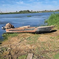 بلم فايبر • ياماها 60 • واسط