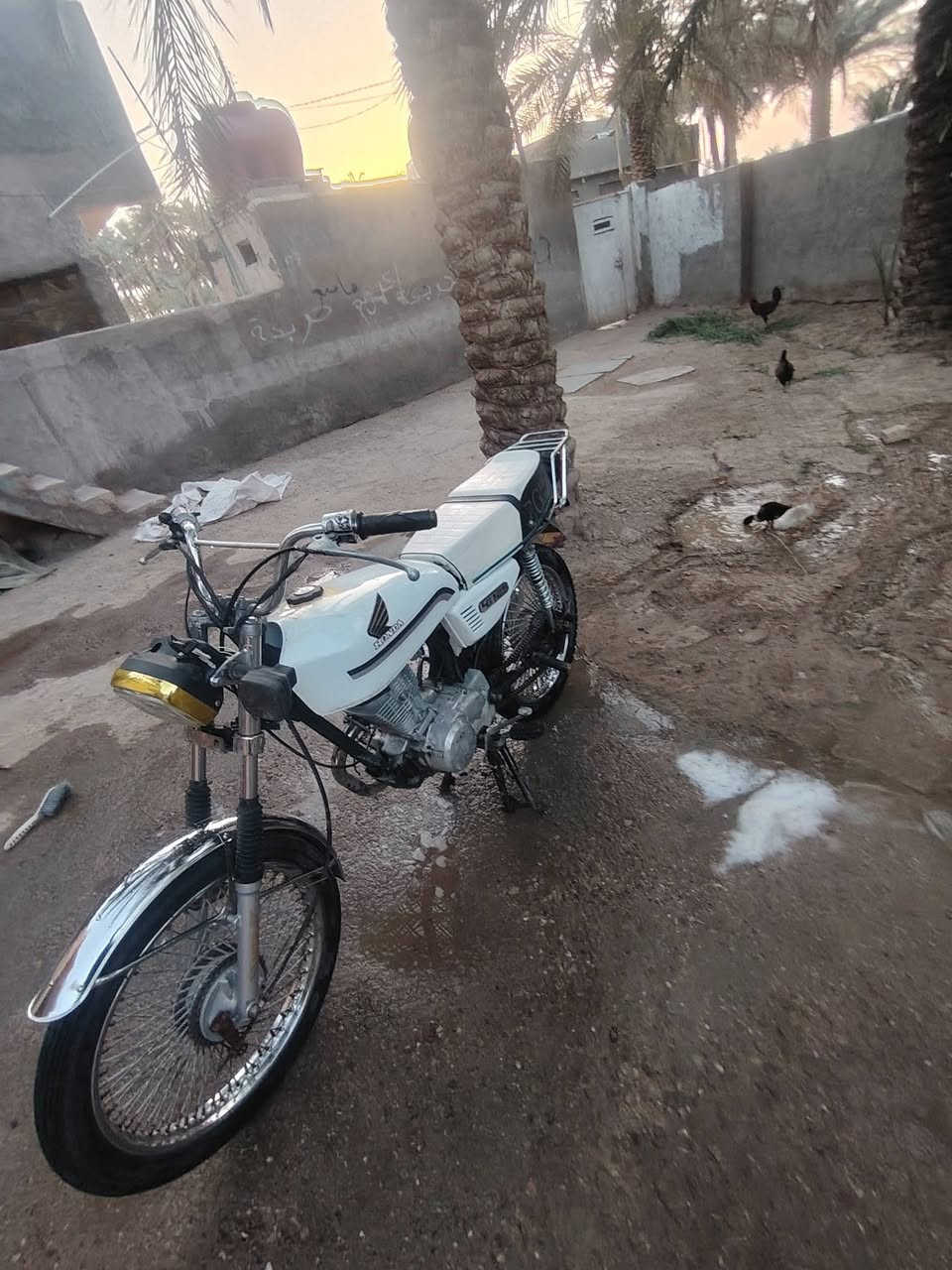 السلام عليكم دراجه تايكر 2019للبيع اوراق اصولي السعر 450وبيها مجال للشرايه مكاني. بابل القاسم


**إذا كنت صاحب هذا الإعلان وتريد حذفه لأي سبب، رجاءا أرسل رسالة إلى الدعم الفني**