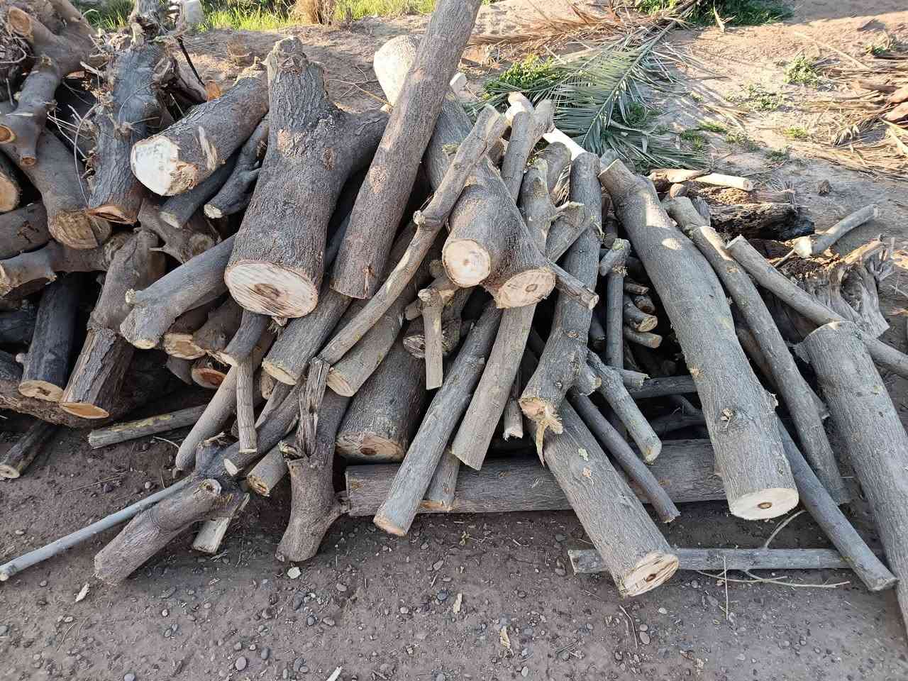 السلام عليكم
عندي حطب للبيع للبيع مكاني التاجي


**إذا كنت صاحب هذا الإعلان وتريد حذفه لأي سبب، رجاءا أرسل رسالة إلى الدعم الفني**