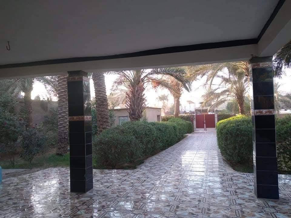 بيت للبيع عقد زراعي 35 مصفره على شارع تبليط رئيسي  مساحة البيت 1000متر  البناء فيه 160 متر مع  حقل 150 متر مع  7 دوانم بستان ملاصق للبيت ويوجد ماء فياض في البستان و  يحتوي على نخل ..برحي ..مكاوي ..خستاوي ..غريبة ..الخ  .كذلك مدارس قريبة وخدمات متوفره فول ..محتويات الببيت 
استقبال ....3 غرف نوم ...حولي ...مطبخ ...حمام وتواليت ...مع ديوان خارجي وتواليت خارجي عدد2 

الموقع ..ديالى ...الخالص ...ابو تمر ..على الشارع الرئيسي تبليط .. 
للاستفسار المراسلة على الخاص الماسنجر او الاتصال على الرقم *********** كذلك فيه واتساب
