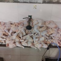 الخالديه • دجاج ديرة • تجهيز مناسبات