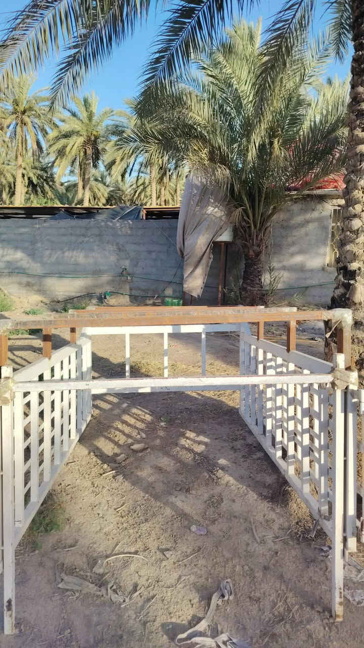 للبيع مال نثيه سعر 350


**إذا كنت صاحب هذا الإعلان وتريد حذفه لأي سبب، رجاءا أرسل رسالة إلى الدعم الفني**