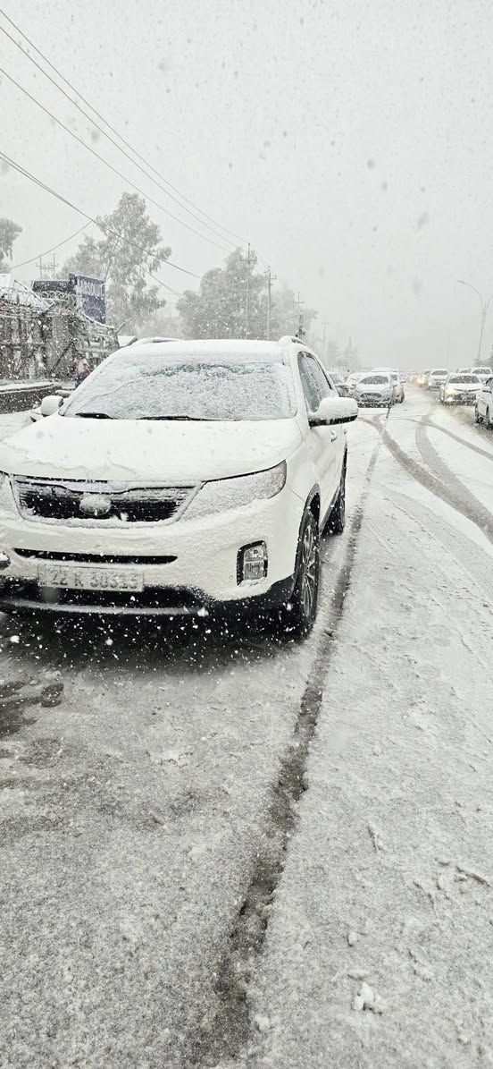 سلام عليكم سورينتو ٢٠١٥ كلين ٤سلندر ٢٤٠٠ دوش باب بصمه تشغيل بصمه بردات اشاره بل مرايه  كشن كهرباي ٧راكب تبريد قطعتين حساسات خلفي امامي رقم وهزه وسنويه جديدالى٢٠٣٠ سعر ١٧٨مجال قليل عنوان اربيل رقم واتس ***********
