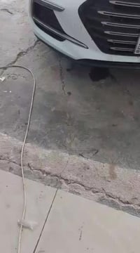 ورشة الكبيسي • زجاج سيارات • الرمادي الجرايشي