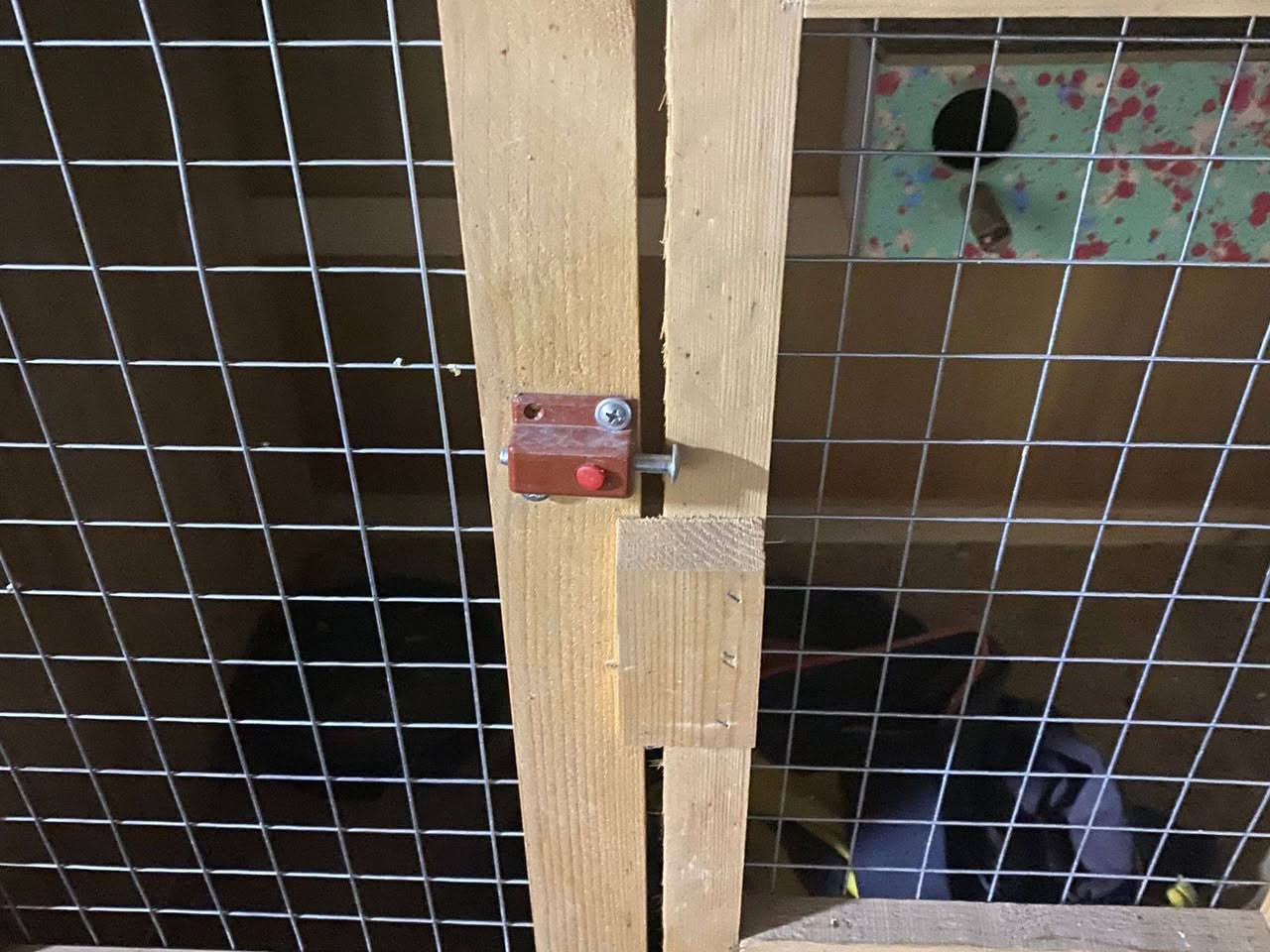 قفص دجاج للبيع انطي سعر بل عافيه عليك نضيف وتساب***********
