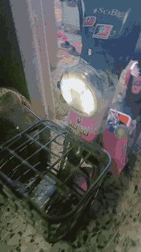 السلام عليكم دراجه شحن موديل ٢٥ دراجه حلوه بطاريات جدد دراجه كلش حلوه تايرات جدد لايت عالي ناصي كله شغال مكاني بغداد الحسينيه السعر ١٧٠ الرقم ***********
