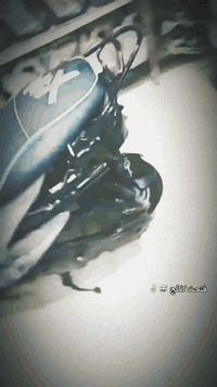 ماكس منغولي مامفتوح مكفوله من كلشي سعر مناسب خاص ***********
هذا واتساب وعلق واني اراسلك
