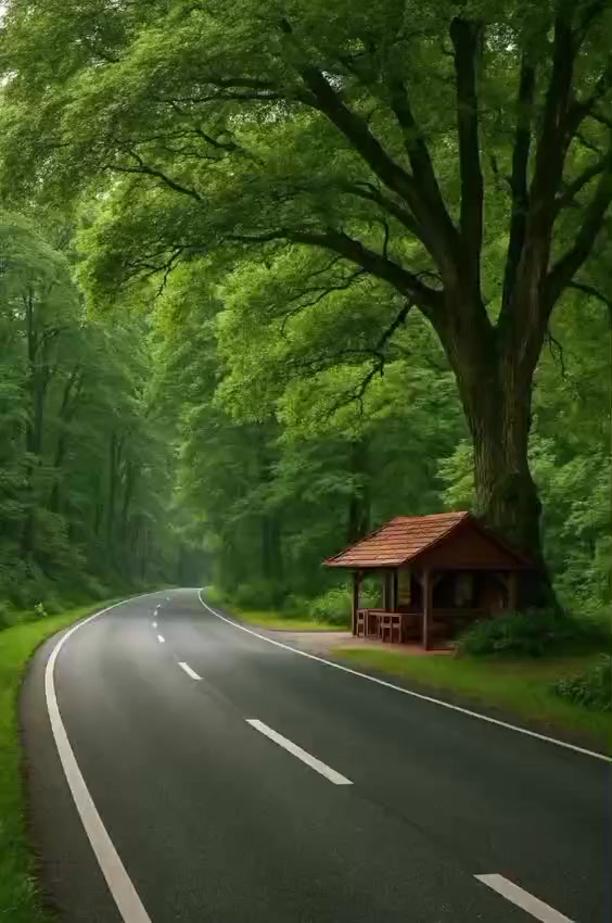 الى طلبه الصف الثالث المتوسط (مفاجأة-   مفاجأة) 
يعلن معهد الابداع التدريسي عن فتح دورات المراجعه المركزه لكل المواد مع ضمان النجاح ان شاءالله على ايدي افضل الاساتذه في كافه الاختصاصات سعره الكتاب الكامل ( 50 ) الف دينار سارع بالتسجيل من خلال الاتصال على الرقم *********** او زيارة المعهد الكائن في الثعالبه شارع 20 قرب الملعب الخماسي مقابل ابو احمد المضمد
