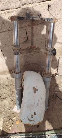 دبلات • ستوته • فحل