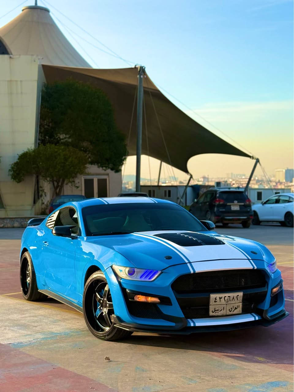 Musting 2017 V6
گير محرك اكسل مكفولات
سياره ماشيه 80 ميل
صبغ فقط بونيد دعاميه صبغ مكفولاه من صبغ و بيها بارد 
ايرباك فقط تكمه طاك 
هلال خلفي صغير بدون شواصي شرط
صدر امامي خلفي جديد مبدلات
كهربائيات شرط
الاظافات✌🏻
مراوح جيتي ٣ بانكات
سياره برمجه مراوح و فطلات كزوز
بونيد shelby
دعاميه شيلبي
سكوبات جانبيه
سكوب باتمان
جنح جيتي 
دفيوزر هسني اصلي
وياله weld racing20 تو سايز
كيج بريميوم ٧ الاوان
شاشه تيسلا و بلادي هم وياه
كوشنات جلد ازرق و ابيض
ادامه كامله دهن محرك جديد
بلاكات racing
فيتبمب racing
ماكو لا كلوب على دشبول
رقم سنويه منتهيه 2023
وكاله بسمي تحويل ثاني يوم
مكان سياره دهوك
سعر 163 بيها مجال قليل مراوسه فقط مع ارقام شماليه 
Watsapp *********** دهوك, العراق
