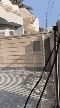 الفوم التركي ***********
