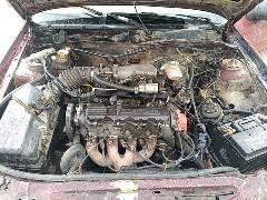 13

*********** السليمانية, العراق
