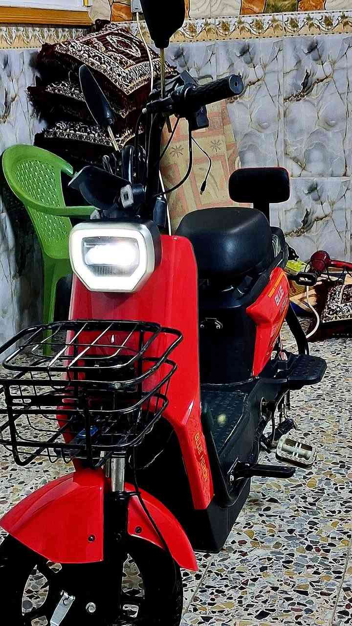 السلام عليكم
دراجة شحن مناسبة للطلاب من شركة Blue Heron الشركة معروفة بدراجاتهة الاصلية والضمان.

الدراجة ما مصلحه ولا مفتوح بيهة شي 

بطاريات الشركة وغراضهة مال شركة

ما عدى التايرات اشتريت تخم جديد

الدراجة اصلية 

دراجة اصلية نظافة 80% 
البريك الخلفي ما يشتغل فقط بنزات
استعمال 6 اشهر

بطاريات الشركة 4 حجم صغير 

بلادية ما مبدل بيهة شي

تايرات جدد 

الكهربائيات كلهن يشتغلن

السرعة 40 حقيقي 

شاحنة اصلية 

ملف الشركة 48V

السعر خيالي 200 وبيهة مجال

 المكان : بغداد . كسرة وعطش الحميدية .

للاستفسار ***********
