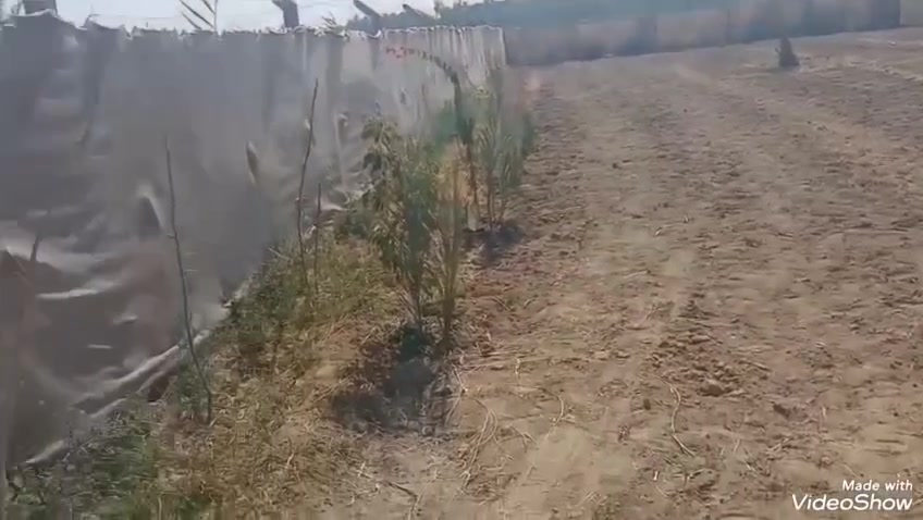 من رخصة مدير الاكروب

ارض في كربلاء طريق طويريج خلف كلية الأمل  تيل 259 وتنزل كيلوين قرب مدرسة دمشقق

مساحة الارض الف متر واجهة 20 ونزال 50

سند 25 بسمي تريد اقرار احولك تريد سهم 

خدمات الارض كاملة ماء سقي و اسالة كهرباء مجاري تبليط  منطقة بيهة سكن      تصلح لزراعة أيضآ 

هاذة رقمي ***********وليحب يتواصل وياي متواجد فقط وتساب
