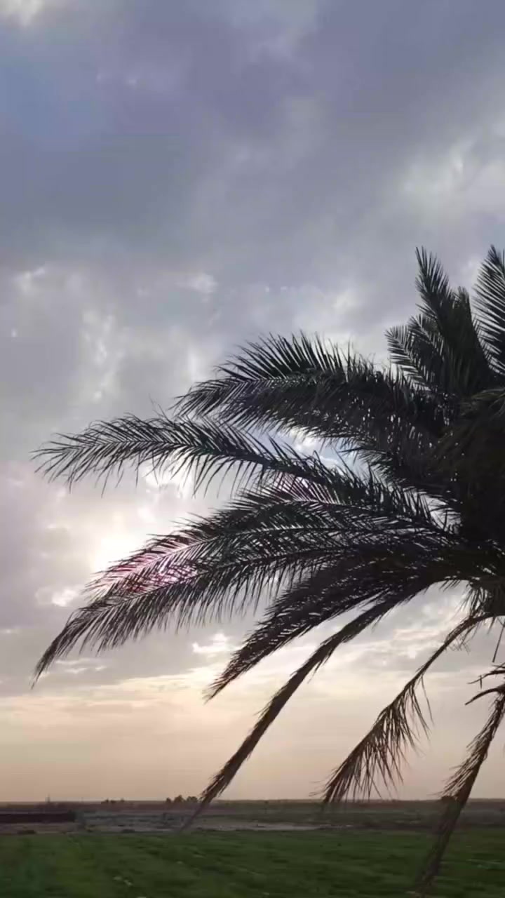 سلام عليكم دراجه متياز 24اوراق سعر 600بيه مجال مكان بابل محاويل ناحيه الامام


**إذا كنت صاحب هذا الإعلان وتريد حذفه لأي سبب، رجاءا أرسل رسالة إلى الدعم الفني**