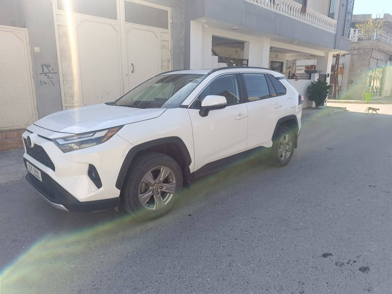 ڕاف فۆڕ 2023 xle ✅
فول فول مواسەفات ✅
بەسمەو شەغاڵ✅
 دەبڵ ئەکسل✅
سڵاید کوشن کارەبای و کوشن هیتەر سوکان ڤولیۆم و تەعدید✅ سورعە سوکان هیتەر ✅
ڕادار ٣٦٠ پلە ✅
کامێرا ٣٦٠ پلە✅
ئاوێنە ڕادار ✅
ئۆتۆ ترافیک ✅
برێک بەسمە ✅
سندوق شەفت✅
زۆر مواسەفاتی تر✅
٦٧ کیلۆ مەتر ڕۆشتوە✅
بۆنیتی بۆیاخە لەگەڵ نوکی چاملخەکان بستێک بێ ناو گرتن و بێ ئێرباگ تەقین ...✅
بؤ زانياري زياتر نامه بنيره ✅


**إذا كنت صاحب هذا الإعلان وتريد حذفه لأي سبب، رجاءا أرسل رسالة إلى الدعم الفني**