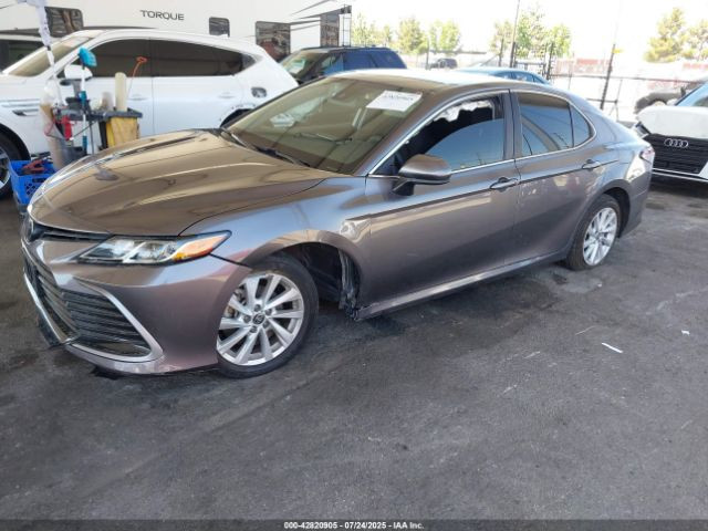 ⭐️ العقبه للمزادات الامريكية ⭐️
💲  بيع مباشر:  89 ورقه
🚗 السيارة: 2024 Toyota Camry, LE
⚠️ الضرر :  حداديه
↔️المسافة: 26.000 ميل
🔲 المحرك: 2.5L, I4
🕔موعد المزاد:  31 / 3 / 2026 
0-42820905
.
لاتوجد اضافه على السيارات الهايبرد 
اسعار النقل مخفضة لاتوجد اي اضافات بعد الاتفاق
شحن الى جميع المنافذ الحدودية 
  تقرير كارفاكس مجاني
للمزيد من المعلومات يرجى الحضور الساعة الرابعة مساءآ الى مقر الشركة الكائن في بغداد- حي البنوك شارع الجسر مجاور مطعم طاووق البنوك مقابل مجمع اليزن 
للاستفسار المبيعات⬇️
📞 ***********
📞 ***********
‏ ‭***********‬📞
📞 ***********
.
#copart #iaai #سيارات #مزاد #كيا #هونداي #جيب #نيسان #شحن #تخليص #تعقيب #ام_قصر #العقبة #جبل_علي #شراء_سيارات #كوبارت #منهايم #تصليح_سيارات2026
#مزادات #جيب  #تعقيب  #fyp
