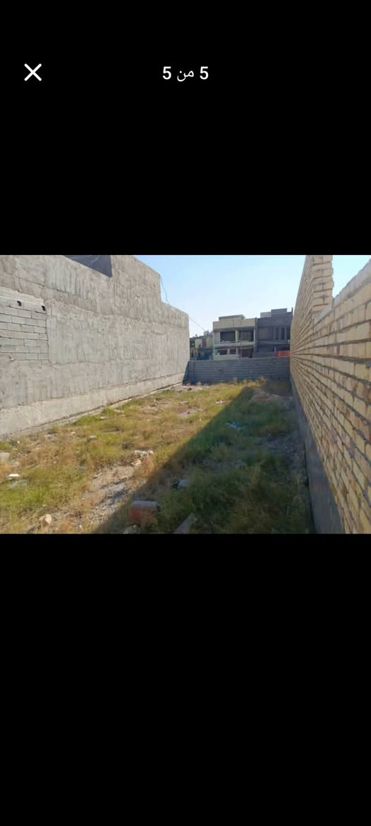 السلام عليكم قطعة أرض زراعية سند ٢٥ المساحة ١٦٥م الوجه الأمامي ٧,٥٠ الوجه الخلفي ٧,٨٠ النزال ٢١م مسيجة قطعة حلوة موقعهة زين قريبة عالتبليط ١٥٠م العنوان بغداد المحمودية طليطلة الزراعي شارع أبو علي أبو الإنشائية ثاني فرع عاليمين تقريباً خامس أو سادس قطعة السعر ٢٥ مليون وبيهة مجال بسيط تتكاتب وية المالك الأصلي للإستفسار ماسنجر أو واتس آب *********** أو *********** بغداد, العراق
